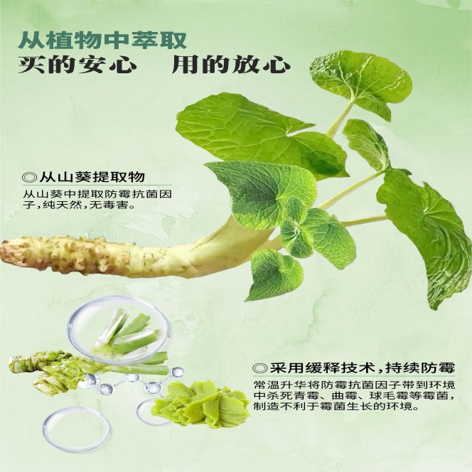 iHeir强效防霉除臭片绿色版（多国语）