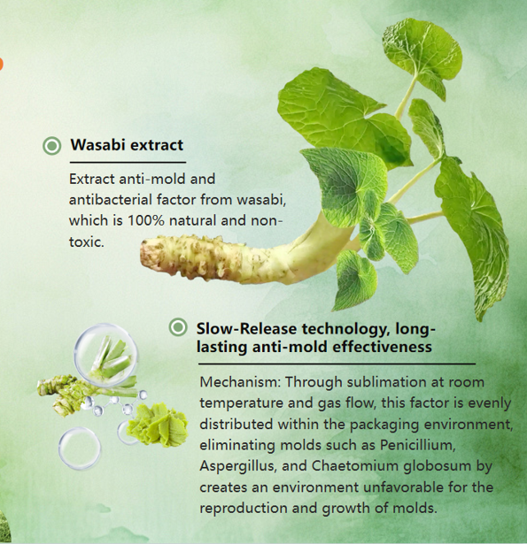 iHeir Anti-mold Power Pak Green Version (Multilingual)