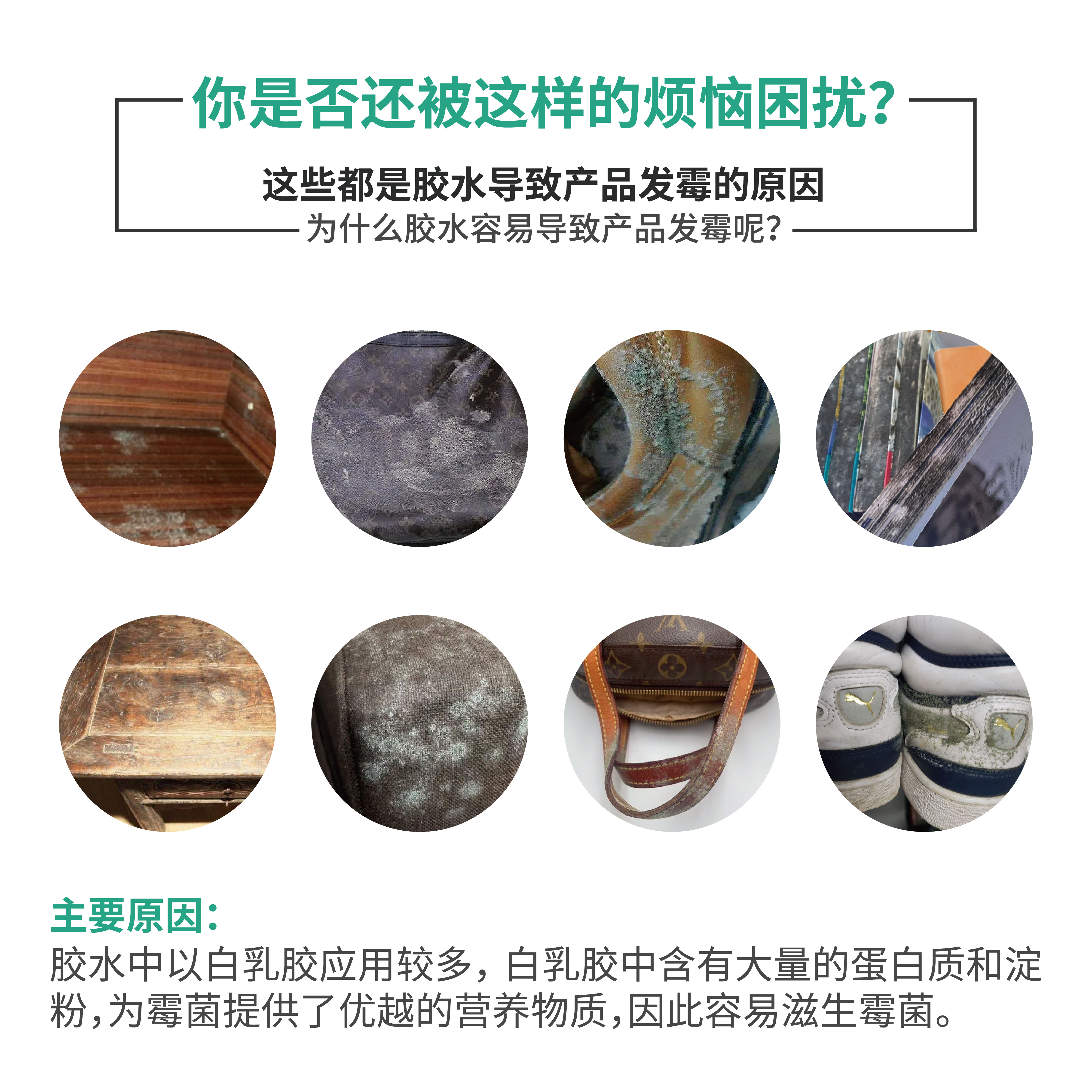 iHeir-JS胶水防霉剂｜水性胶水涂料专用防霉抗菌剂｜高效罐内防霉解决方案